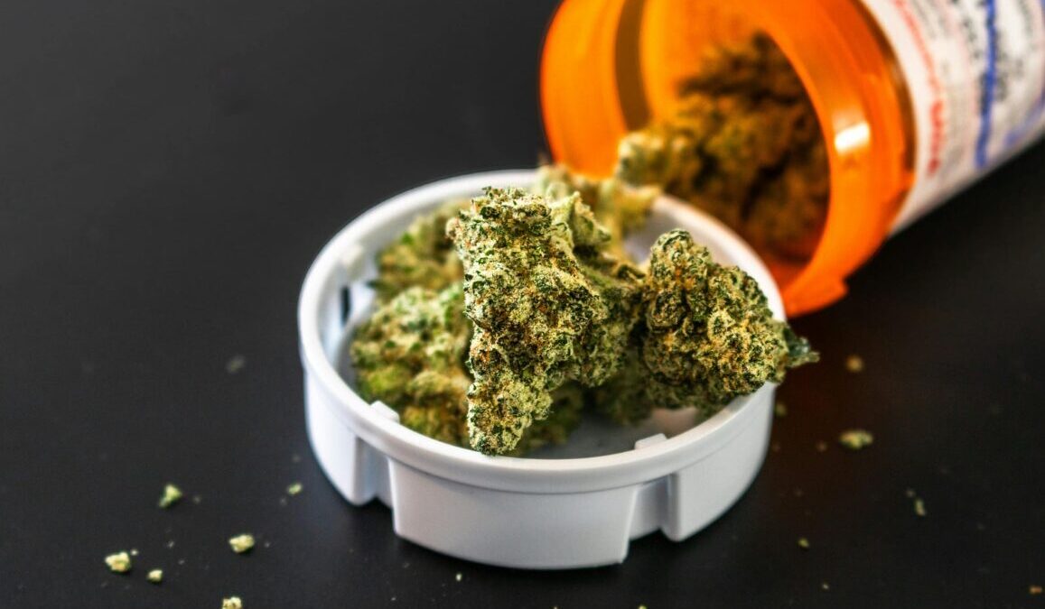 cannabis kaufen