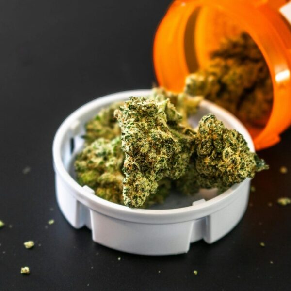 cannabis kaufen