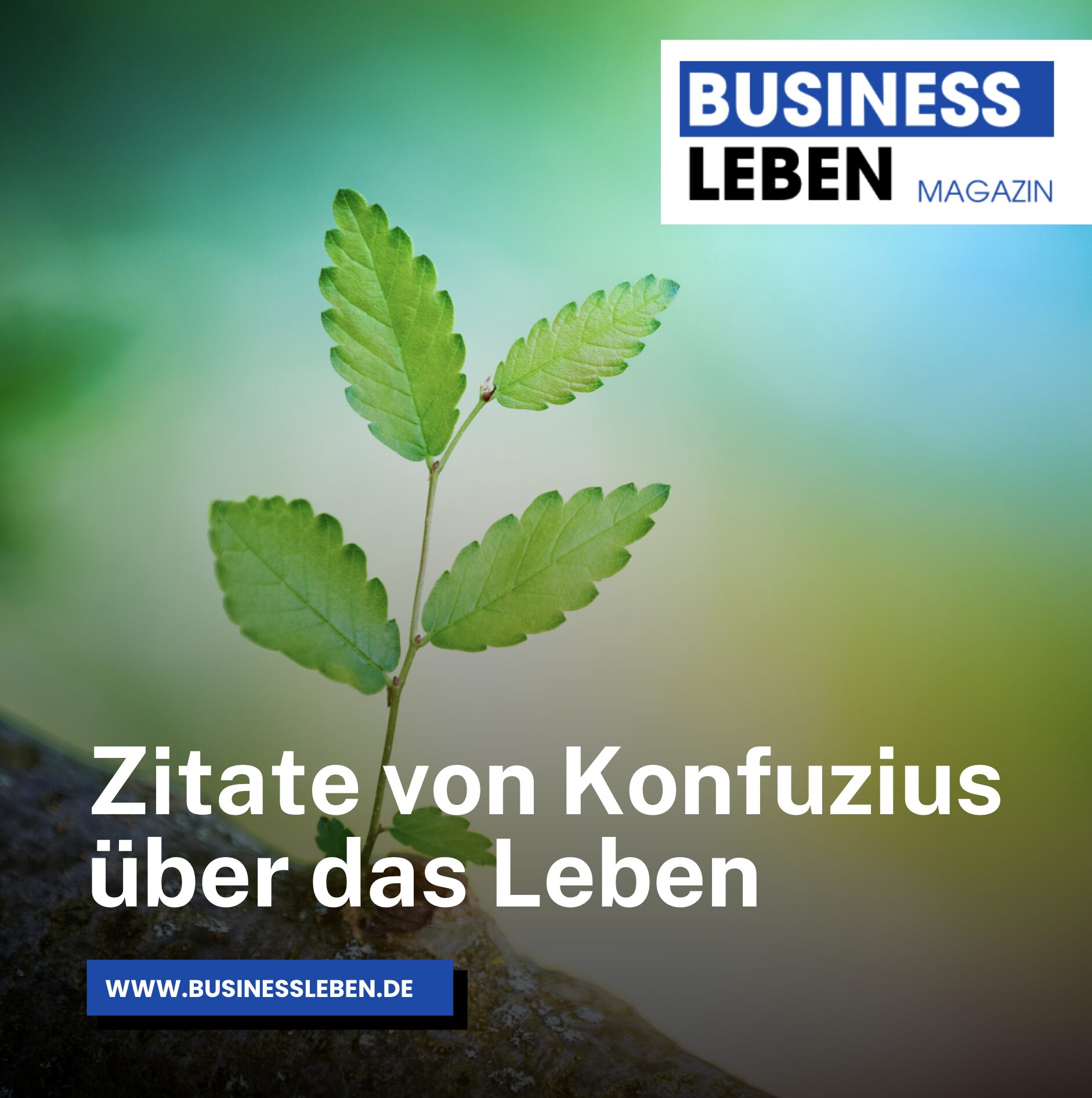 Zitate von Konfuzius über das Leben Zitate von Konfuzius über das Leben
