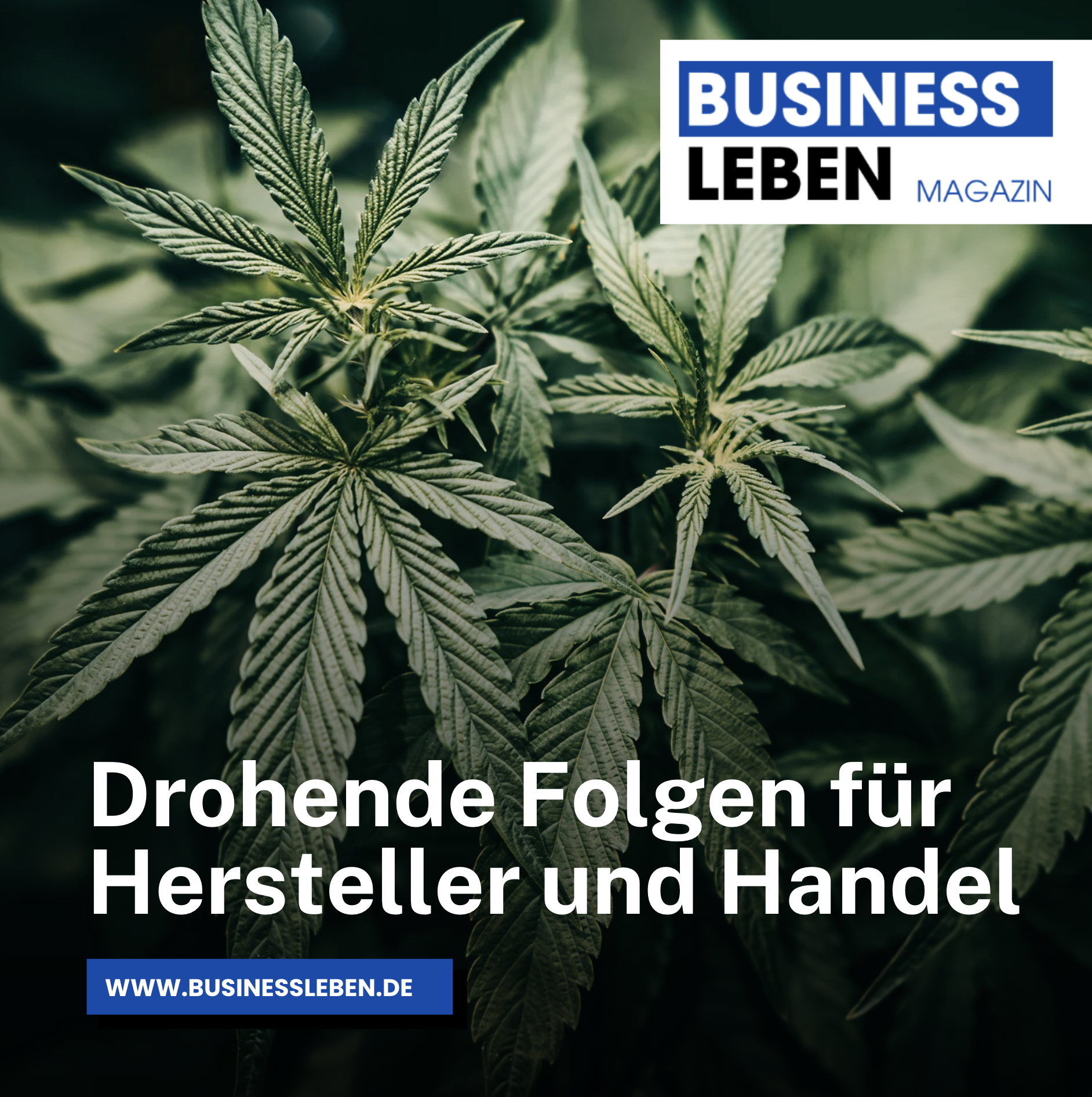 Drohende Folgen für Hersteller und Handel Drohende Folgen für Hersteller und Handel